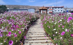 97国产露脸精品国产麻豆